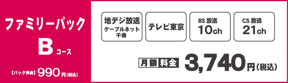 ファミリーパックB
