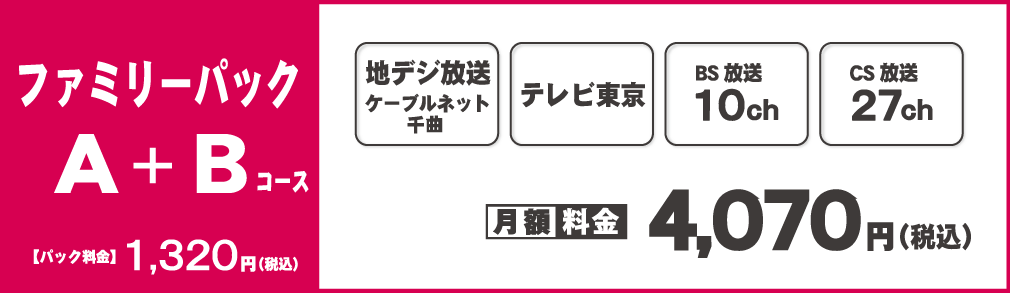 ファミリーパックA+B